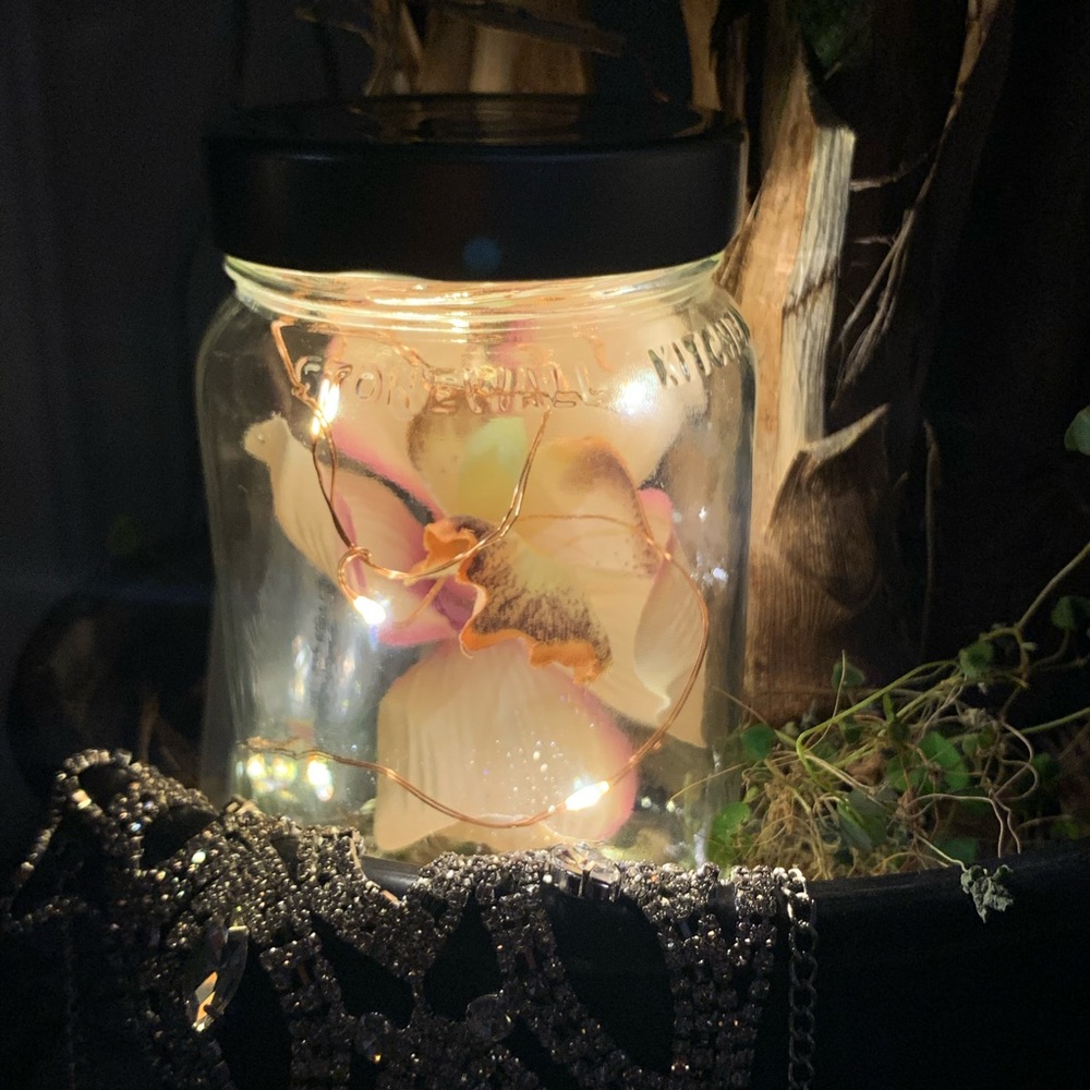 Home Decor Orchid in a Jar Lights String